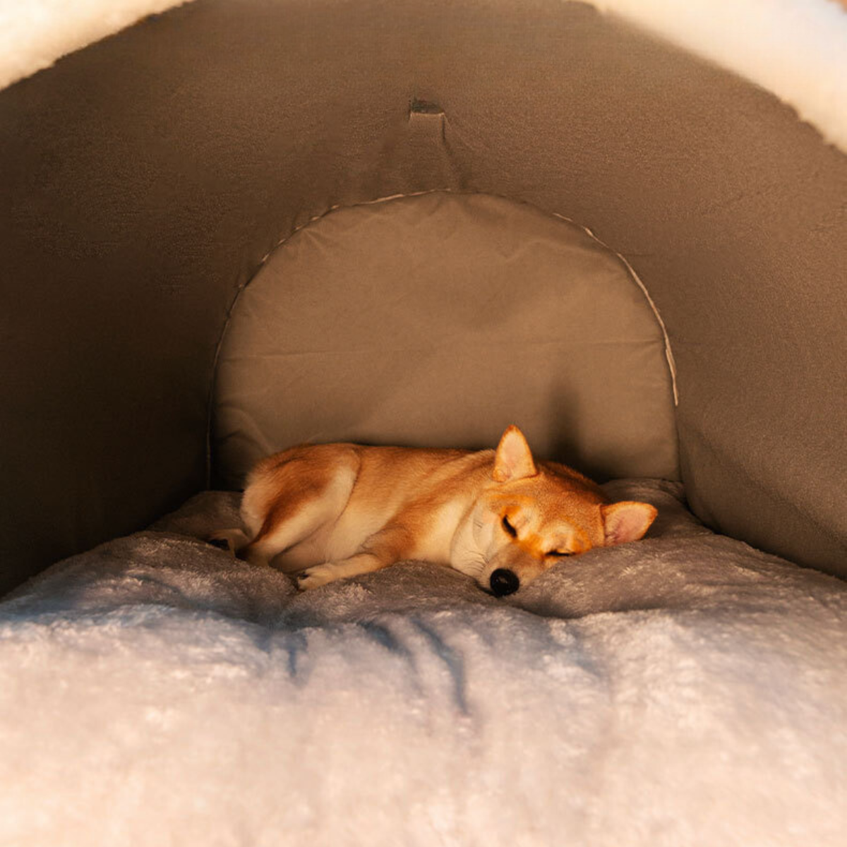 Warm Winter Dog House